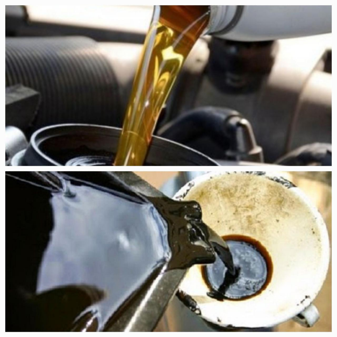 Cara Membuang Oli Bekas Yang Benar Dan Aman Bagi Lingkungan